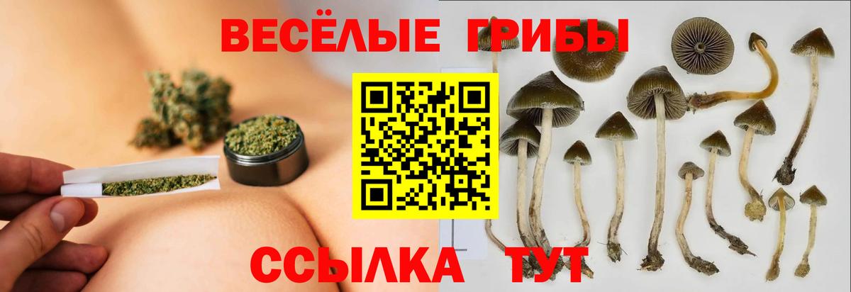 Псилоцибиновые грибы MAGIC MUSHROOMS Сергиев Посад